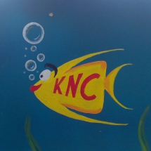 KNC Scalar 1